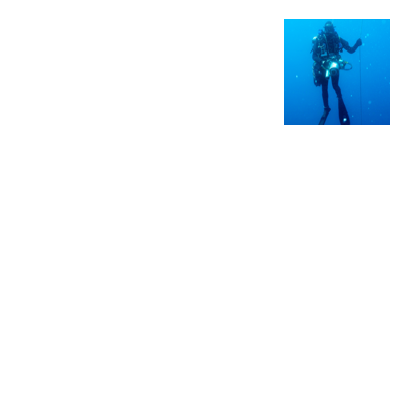 ￼Bebert, 33 ansChargé de production dans la vie terrestreDans l'eau plongeur mCCRPlonge depuis 1990Co concepteur du Decorider mCCR Dorsal ou sidemountScaphandrier classe 2B1 millier de plongéesune cinquantaine d'heures sur le DecoriderAdore la photo terrestre, et voudrais bien le mettre au bénéfice dans l'eau.